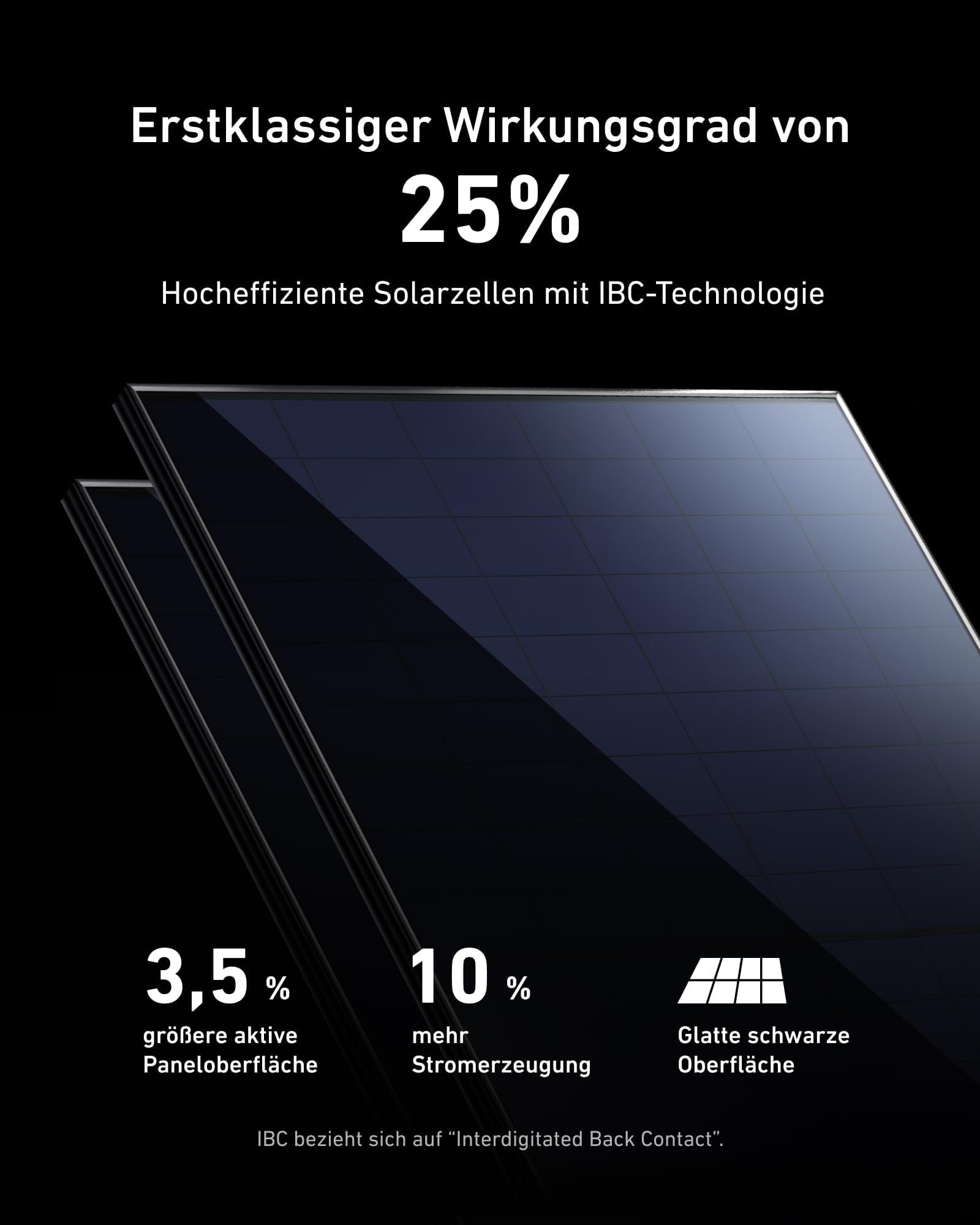 anker-solix-rs40p-balkonkraftwerk-890-wp-2-445-w-ibc-module-25-effizienz-ota-upd image 2