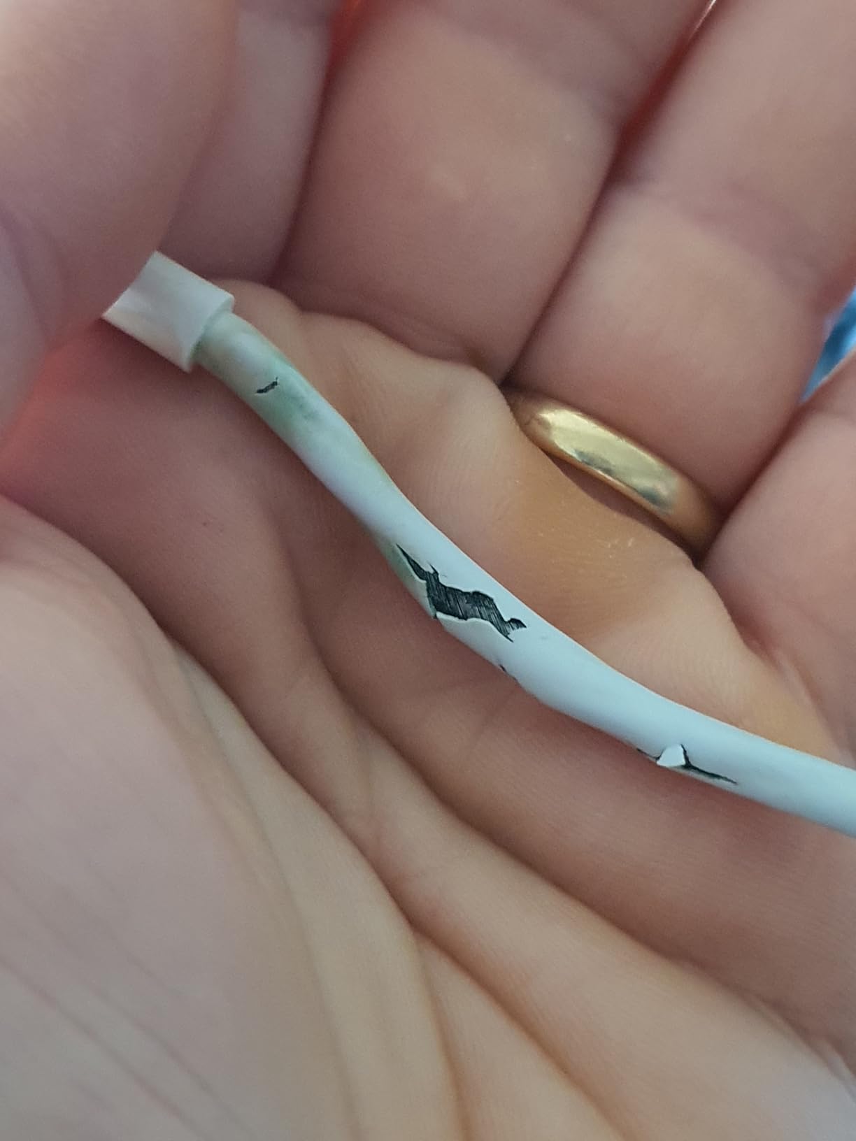 Gutes Kabel zum fairen Preis