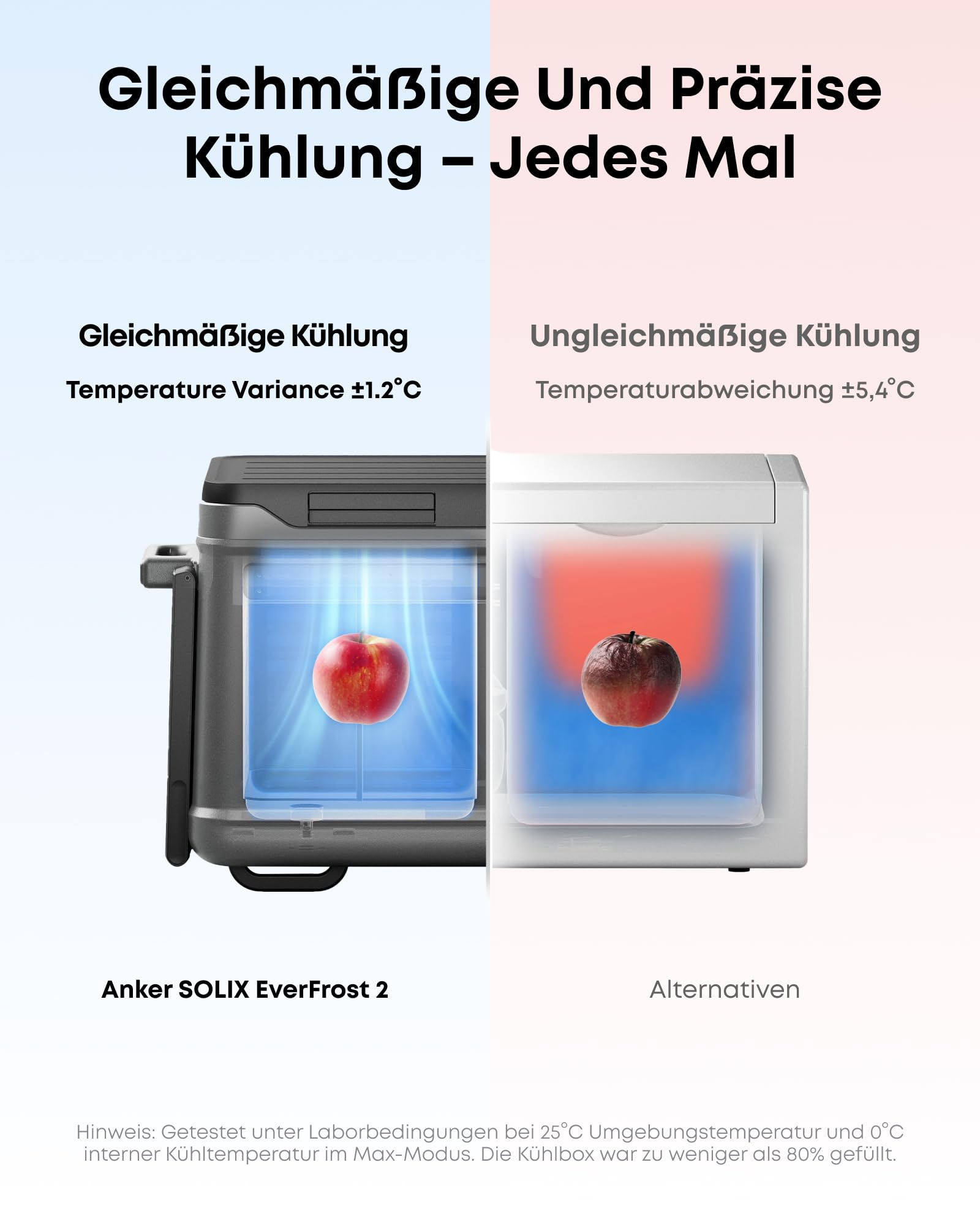 anker-solix-everfrost-2-58l-akku-k-hlbox-tragbarer-mini-k-hlschrank-mit-288wh-ak image 4